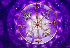 AAA_ Lotus Flower Disc